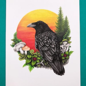 Carte de voeux corbeau et soleil, format A2, vierge à l'intérieur, amoureux de la nature, observation des oiseaux, pin, art champignon, dessiné à la main, fabriqué aux États-Unis