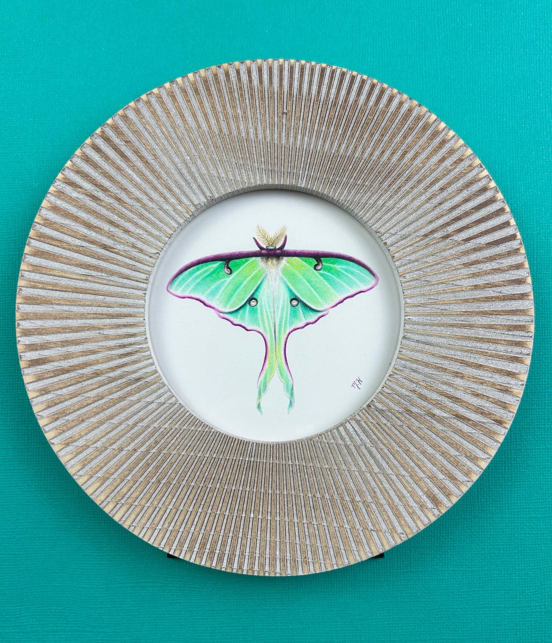 Original Luna Moth Colored Pencil Drawing, Boho Style Framed Art ...