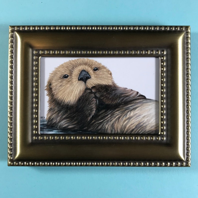 Sea Otter Drawing In A Gold Frame