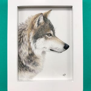 Wolf original colored pencil drawing in a white frame