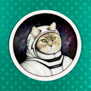 Sticker chat de l'espace, étanche pour bouteille d'eau, ordinateur portable, journaux, agendas, amoureux des chats, dame aux chats, amoureux de l'espace, autocollant de planche à roulettes