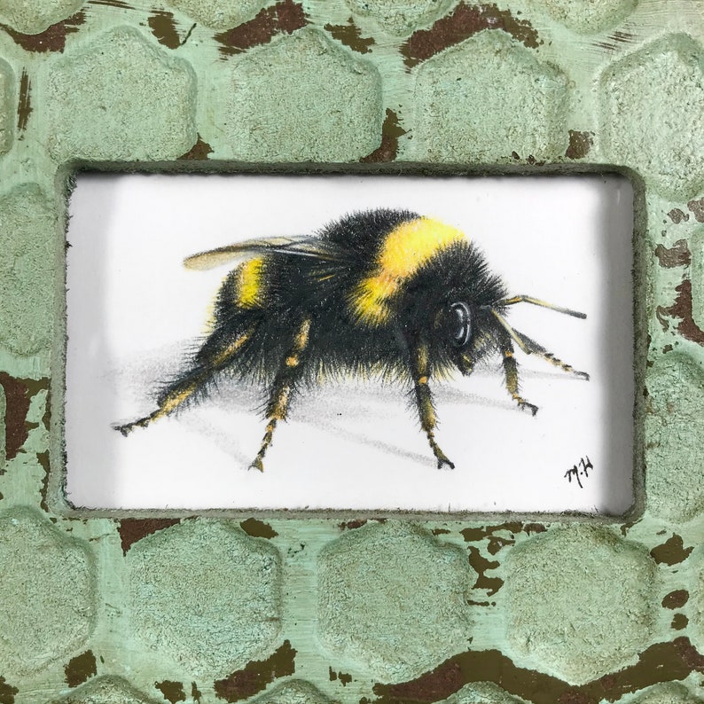 Bee drawing in a honeycomb frame