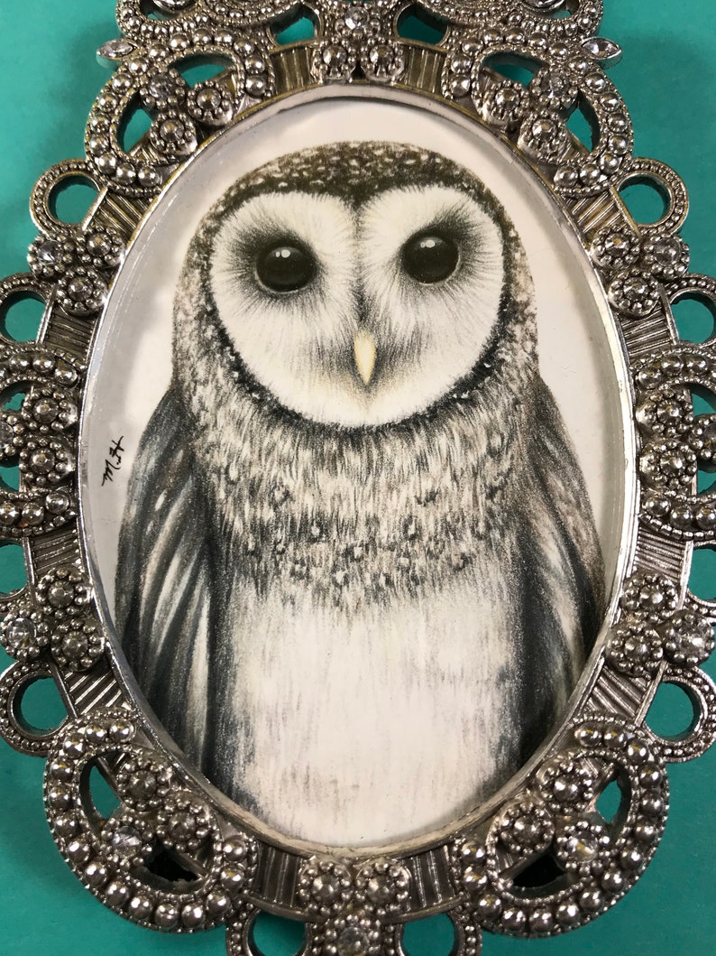 Owl drawing in a silver oval frame
