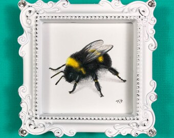 Itty bitty original colored pencil honeybee in a white frame