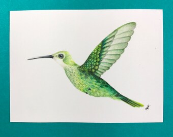 Frameless original colored pencil hummingbird drawing, gift for mom, grandma, present for birders, one-of-a-kind