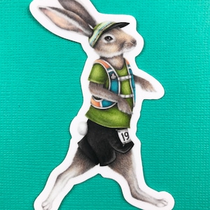 May include: A sticker of a cartoon rabbit wearing a green shirt, blue vest, black shorts, and a blue and white baseball cap. The rabbit is running and has a race number "19" on its shorts.