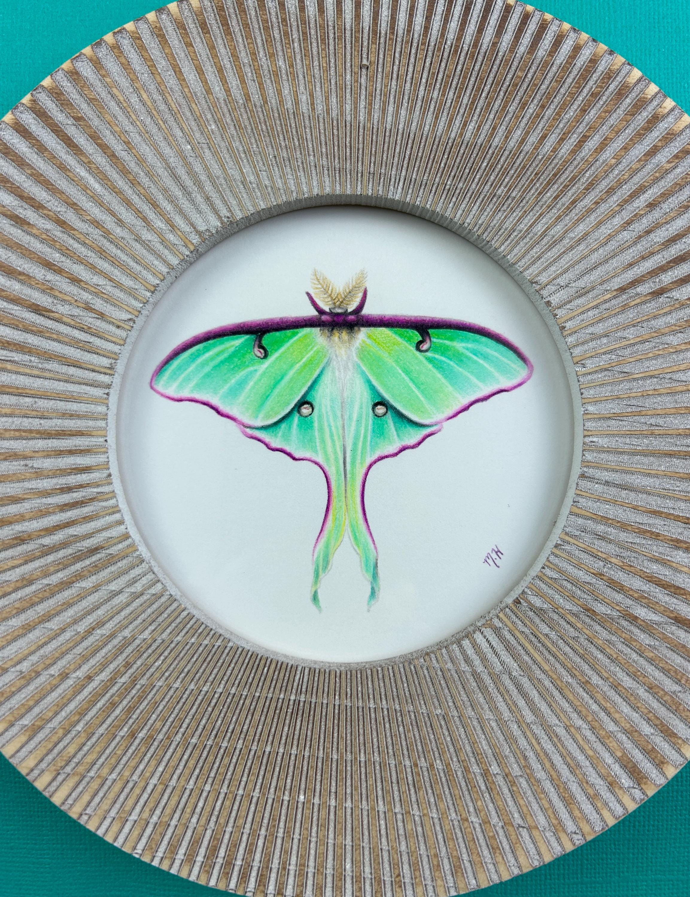 Original Luna Moth Colored Pencil Drawing, Boho Style Framed Art ...