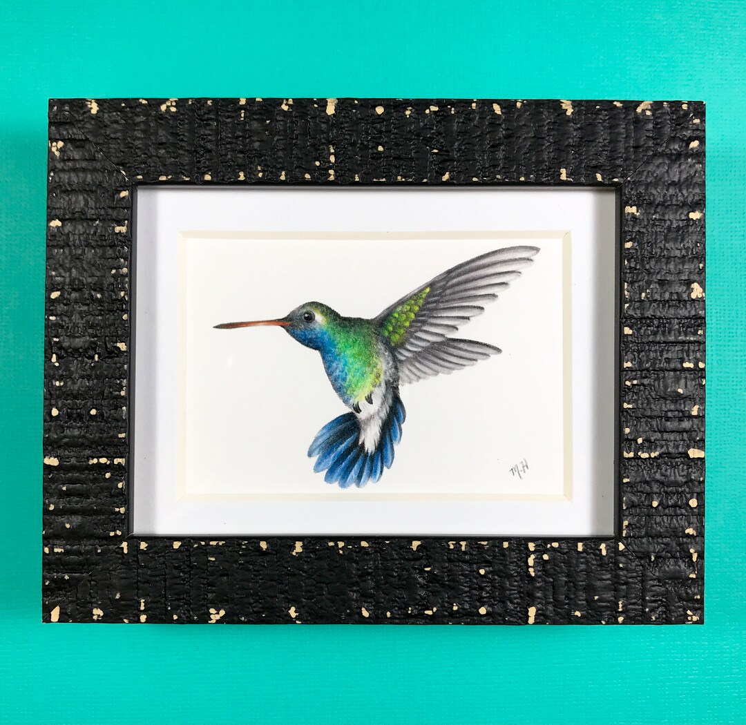 Original Colored Pencil Hummingbird Drawing in a Black Frame, Gift for