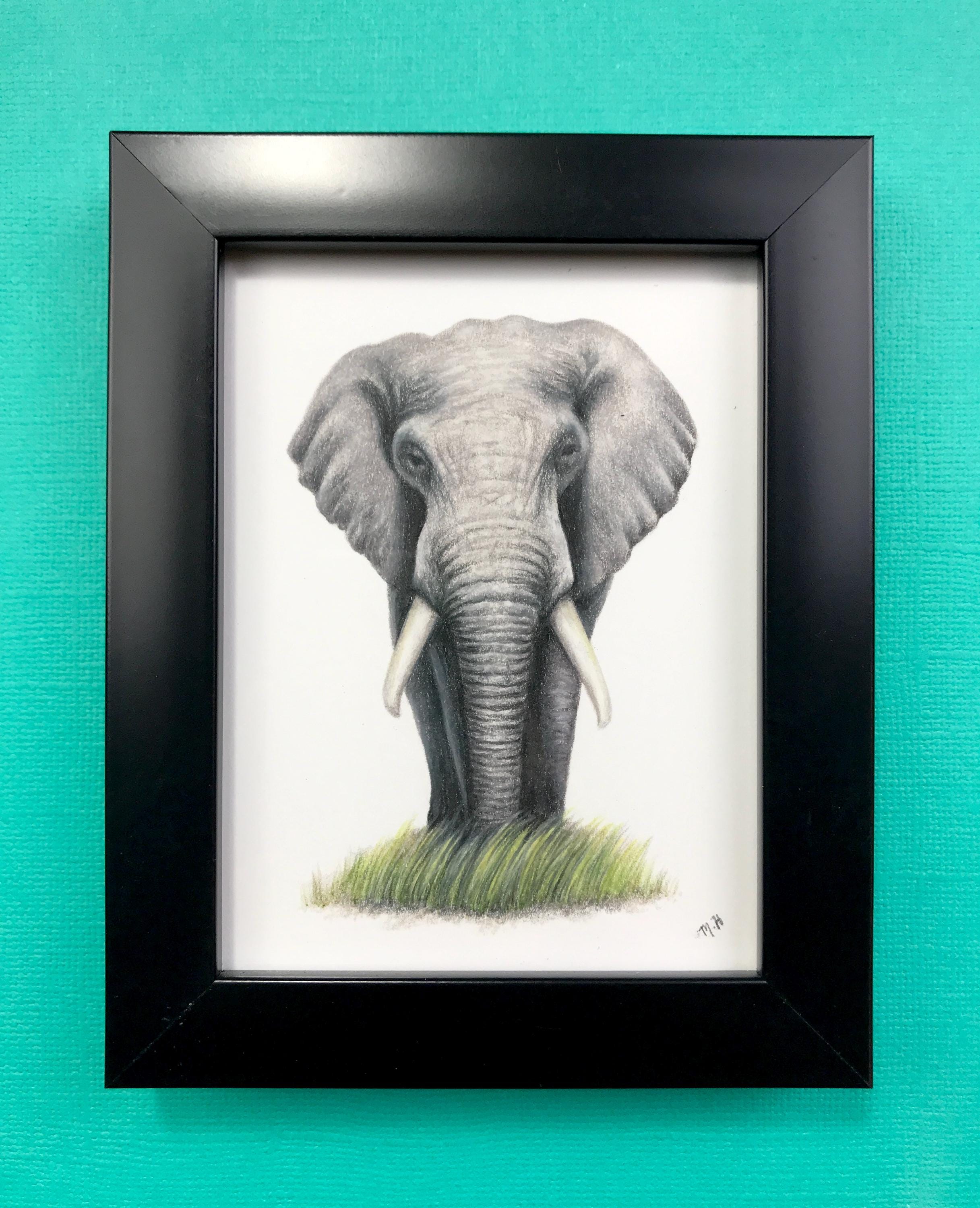 Elephant Original Colored Pencil Drawing in a Black Frame, Hand