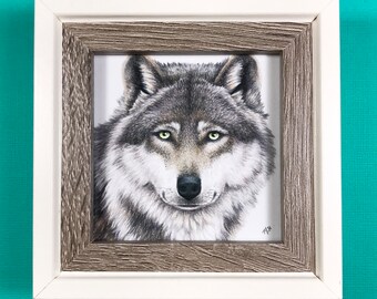 Gray wolf original colored pencil drawing in a white and faux wood frame