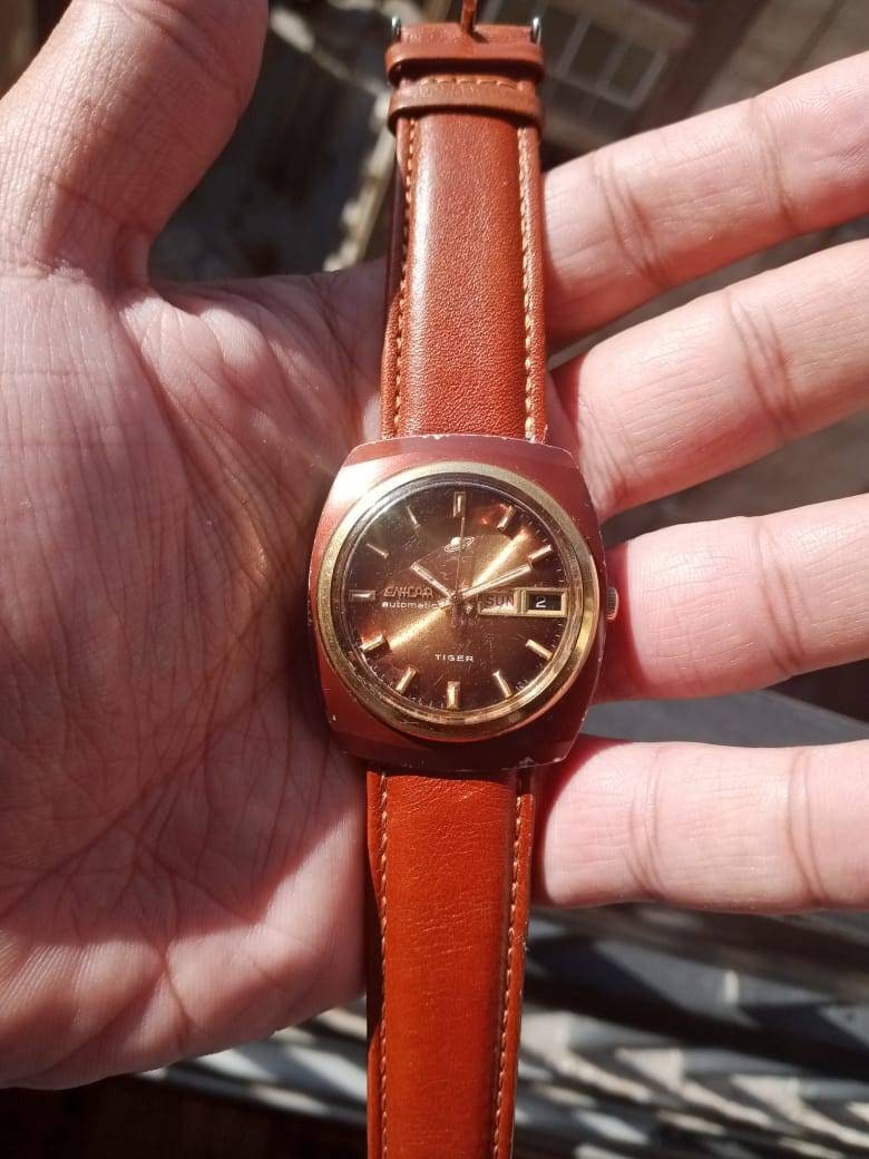 Vintage Enicar Tiger - Etsy