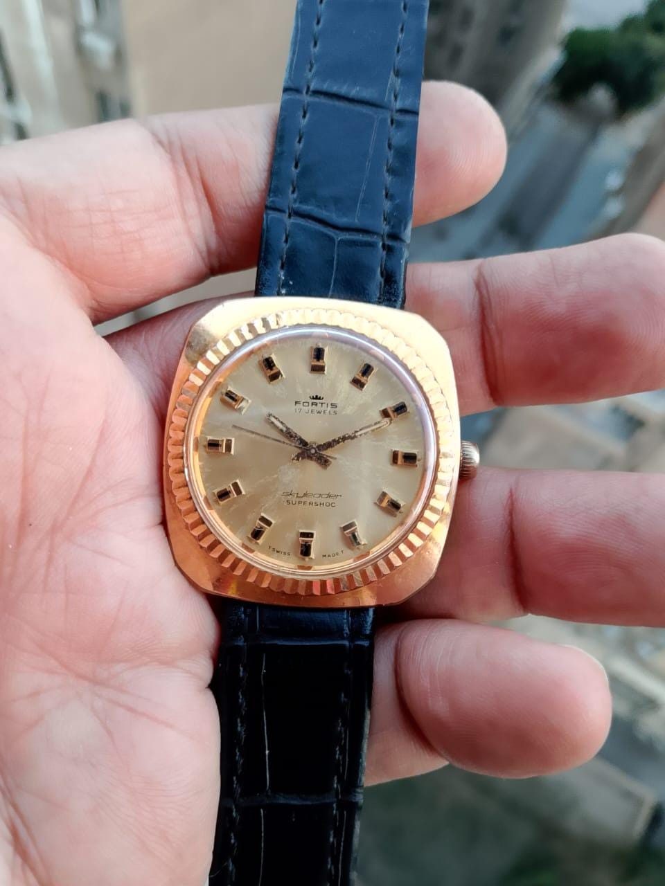 Vintage Fortis Sky Leader - Etsy