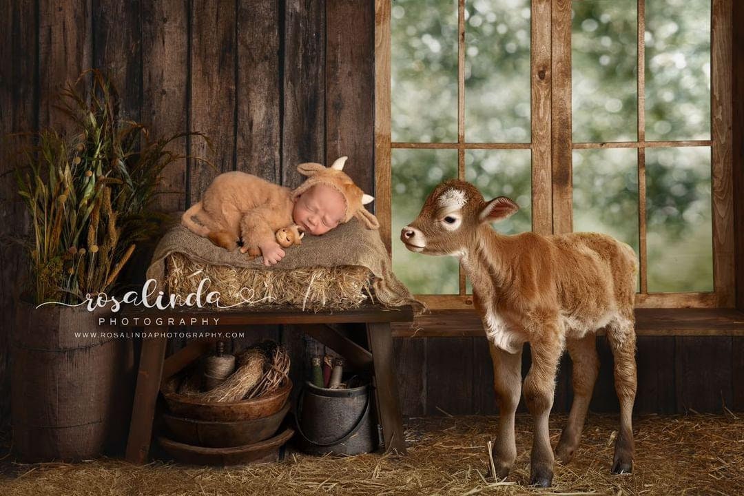 MADE TO ORDER! Highland Cow Outfit Cow Costume Newborn