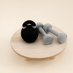 MADE TO ORDER! Felted Kettlebell and dumbbell weights set | Felted stuffie toys Newborn photography props Felted wool sport props