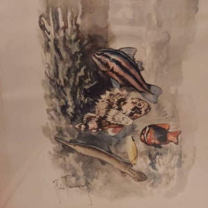 Acquerelli italiani