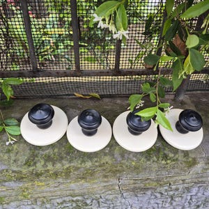 May include: Four cream-coloured, round paperweights with black, rounded knobs are arranged in a row. The paperweights sit on a weathered, mossy surface, with a metal fence and greenery in the background.