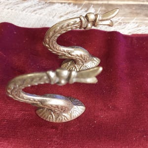 Könnte beinhalten: Zwei verzierte silberfarbene Metallhaken mit einem dekorativen Design, das einem eingerollten Schlangen- oder Drachenmuster ähnelt. Die Haken befinden sich auf einer roten Samtoberfläche.