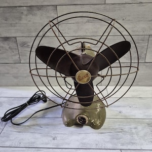 Lesa fan