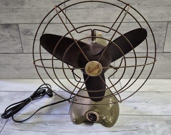 Fan de Lesa