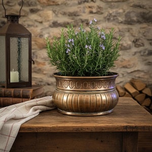 Può includere: Un vaso color bronzo pieno di rosmarino, con piccoli fiori viola. Il vaso è posto su un tavolo di legno, con una lanterna e libri sullo sfondo. Il vaso ha un diametro di circa 30 cm.