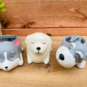 Succulent Pots | Small planter | Flower pot | Cute Animal Pot |  Labrador Schnauzer Husky