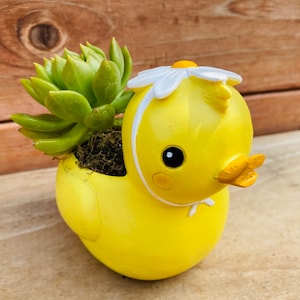 Succulent Pots Small planter Flower pot Cute Animal Pot Unicorn Duck Duck