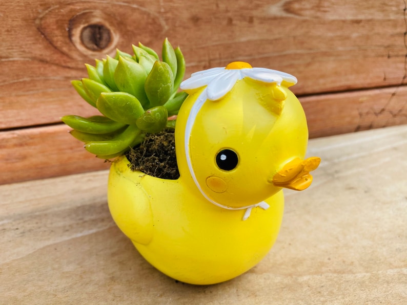 Succulent Pots Small planter Flower pot Cute Animal Pot Unicorn Duck Duck