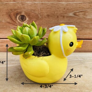 Succulent Pots Small planter Flower pot Cute Animal Pot Unicorn Duck image 7