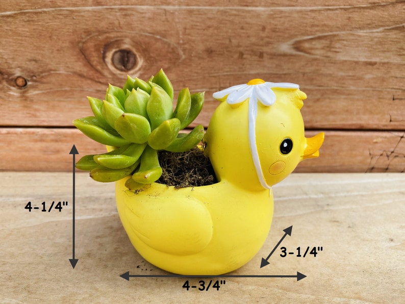 Succulent Pots Small planter Flower pot Cute Animal Pot Unicorn Duck image 7