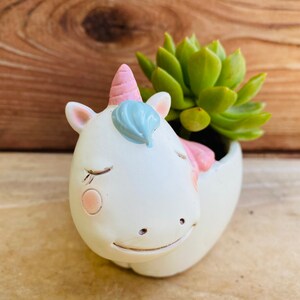 Succulent Pots Small planter Flower pot Cute Animal Pot Unicorn Duck Unicorn