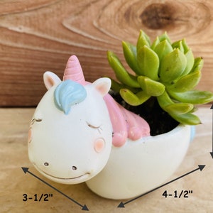 Succulent Pots Small planter Flower pot Cute Animal Pot Unicorn Duck image 6