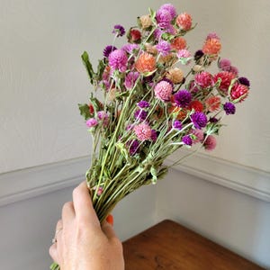 May include: A bouquet of dried globe amaranth flowers in shades of pink, purple, orange, and red. The flowers are held together by green stems. The bouquet is displayed on a wooden surface.