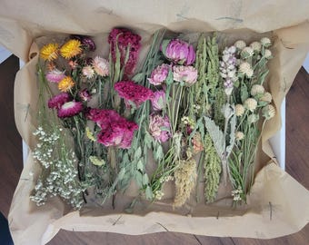 Botanical Box: Natural Fried Flowers for Bud Vases