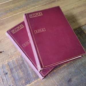 1896 Rome by Emile Zola * 2 Volumes * Naturalism * 19th Century Classics
