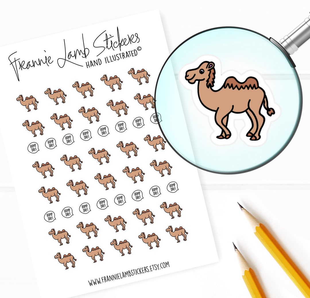 Hump Day Stickers 1/2 Each, Planner Stickers for Calendars, Planners