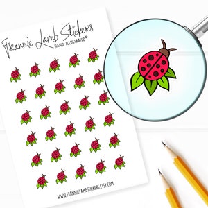 Adesivi coccinella (1/2" ciascuno), adesivi pianificatore, adesivi primaverili, adesivi stagionali per pianificatori, calendari, album di ritagli, artigianato e altro ancora