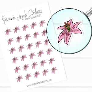 Adesivos de flores de lírio (1/2 "cada), adesivos de planejador, adesivos de primavera, adesivos sazonais para calendários, planejadores, álbuns de recortes, artesanato e muito mais