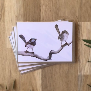 4 x Superb Fairy Wrens (male & female) cards - illustrated, designed and printed in Australia - Australian blue wren card, greeting card