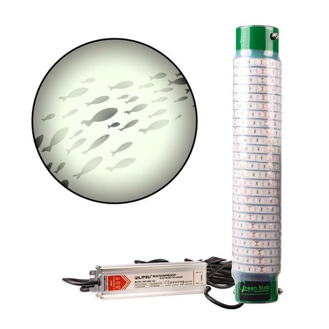 Green Blob Underwater Fishing Light LED 15000 Lumen Battery Powered 12v  Snook for sale online