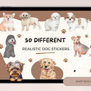 May include: A digital illustration of 50 different realistic dog stickers. The stickers feature various dog breeds in watercolor style. The text "50 DIFFERENT REALISTIC DOG STICKERS" is displayed in the center of the image. A button labeled "SHOP NOW" is at the bottom of the image.
