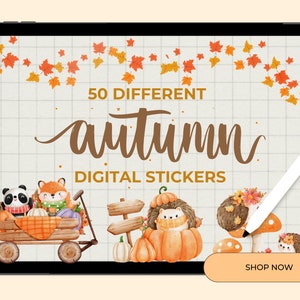 Seasonal Digital Stickers (Fall Digital Stickers), Instant Download, Holiday Stickers, Digital Planner Stickers, Png Stickers, Goodnotes
