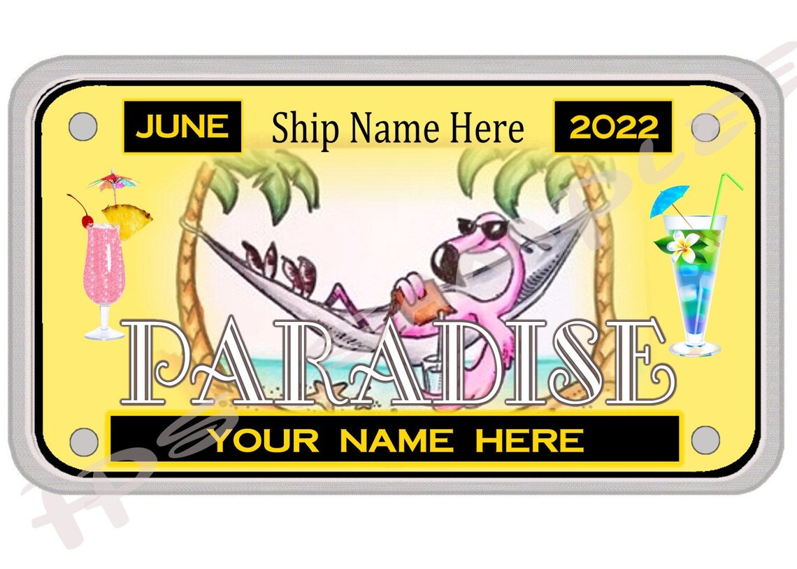 Customized LICENSE PLATE for Cruise Door Etsy