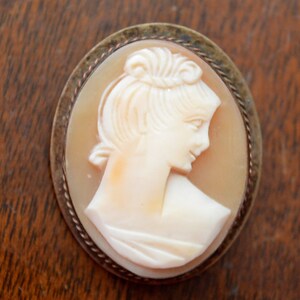 May include: A cameo brooch featuring a carved portrait of a woman with a detailed hairstyle. The cameo is set in a silver-toned metal frame with a rope-like design.