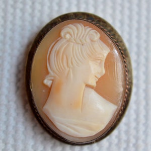 May include: A cameo brooch with a detailed carving of a woman's profile, set in a copper-toned metal frame.