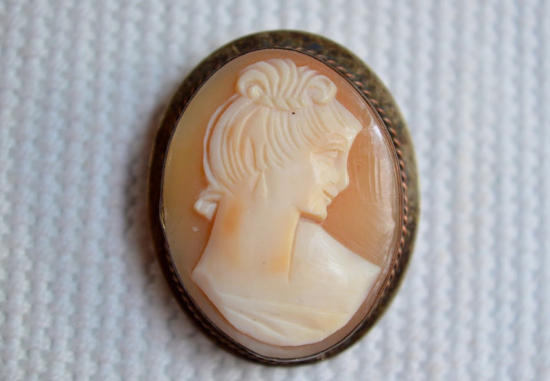 May include: A cameo brooch with a detailed carving of a woman's profile, set in a copper-toned metal frame.