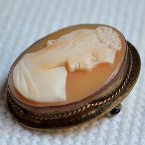 May include: A cameo brooch featuring a carved portrait of a woman's profile in a shell setting. The brooch is set in a gold-toned metal frame with a twisted wire design.