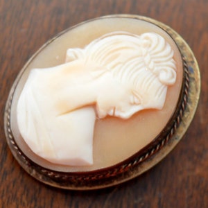 May include: A cameo brooch featuring a carved portrait of a woman's head in white on a light brown background. The cameo is set in a silver-toned metal frame with a rope-like design.