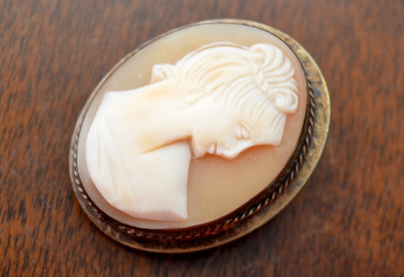 May include: A cameo brooch featuring a carved portrait of a woman's head in white on a light brown background. The cameo is set in a silver-toned metal frame with a rope-like design.
