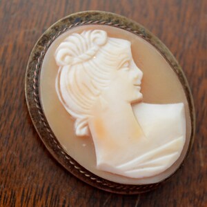 May include: A cameo brooch featuring a carved profile of a woman's face in a shell setting. The cameo is surrounded by a silver-toned metal frame with a rope-like design.