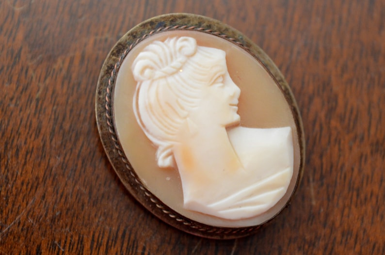 May include: A cameo brooch featuring a carved profile of a woman's face in a shell setting. The cameo is surrounded by a silver-toned metal frame with a rope-like design.